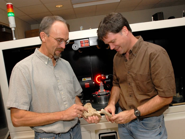 320万年前“人类祖母”露西很可能是从树上摔下而死亡