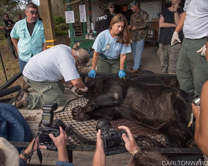 �������������������Ҳ�����ܼ���