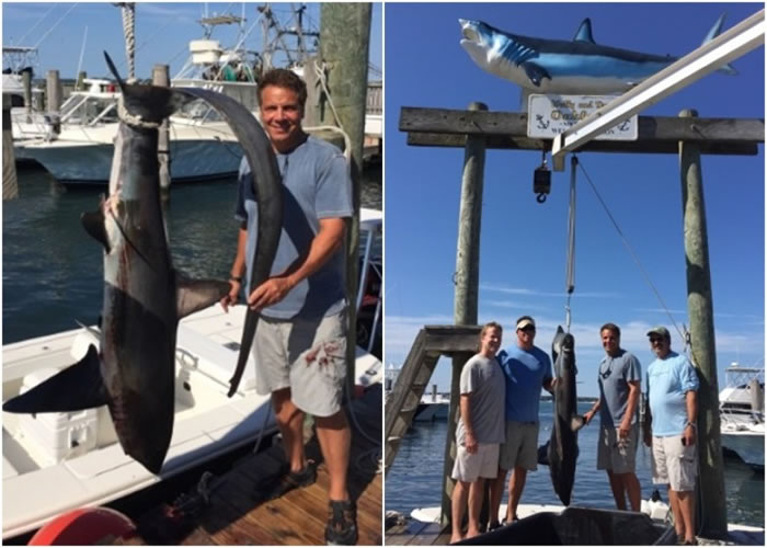 美国纽约州州长捕猎易危长尾鲨惹保育人士不满