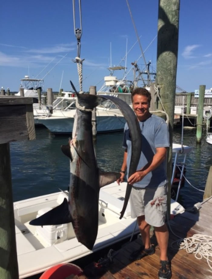 网民批评科莫(图)不应捉长尾鲨。