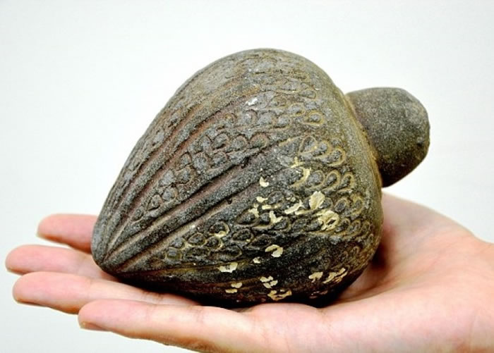 �����̳�������������ճ��������������һ�������