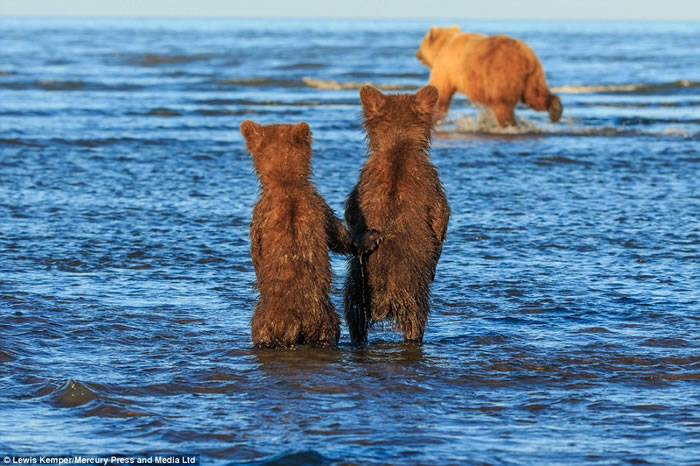 ��������˹����ֻС������ǣ��վ�ڰ��ߵ����貶�����