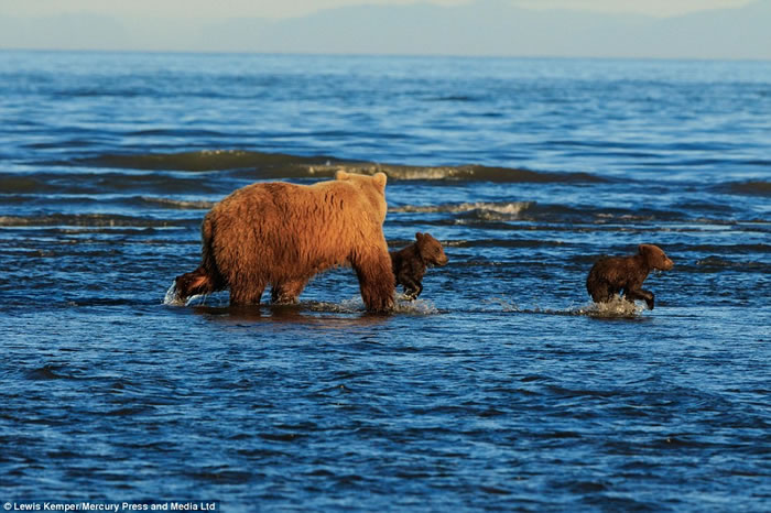 ��������˹����ֻС������ǣ��վ�ڰ��ߵ����貶�����