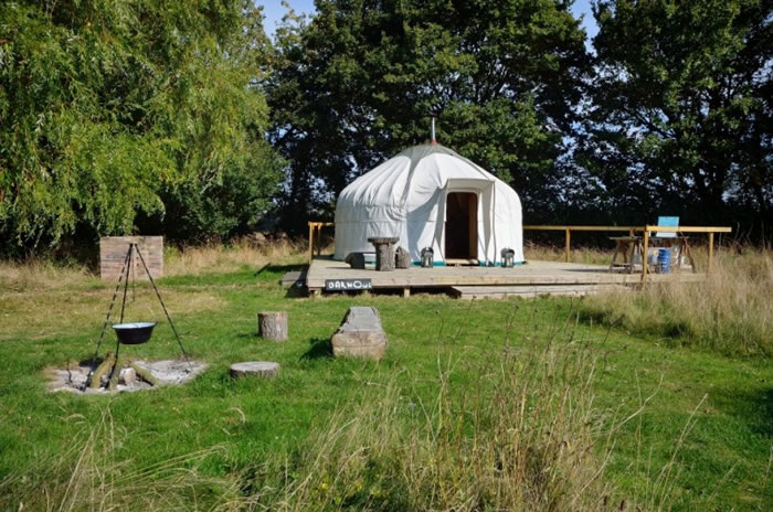 �ۺ�������Ivy Grane Farm��ͼ�������֡�