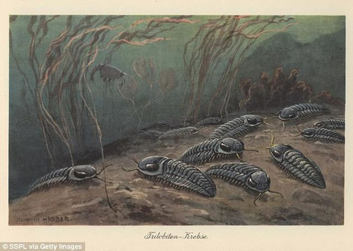 ڡ-¼֮ĸչ̴Լ500~900֮áڴ˴ص¼УϺ96%Լ½ĴԼ70%ʧ