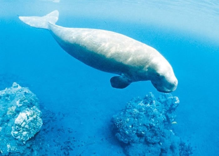 �б�Ұ�ž�����ձ�ʾ�������ڸ�����ʳ�����ޣ�ͼ����ʧ��������ͼƬ��