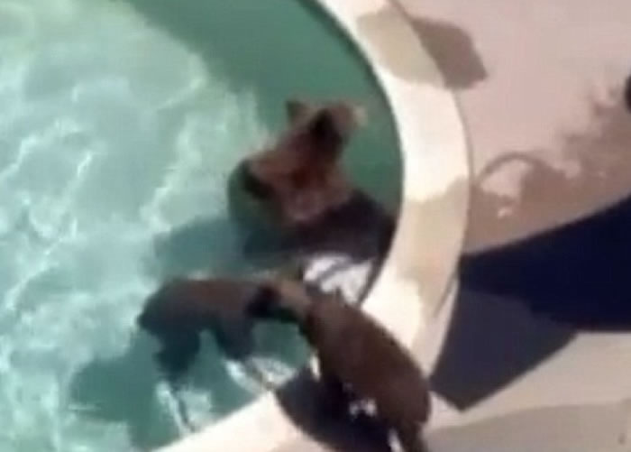 ���������������ͬ��������������Ӿ����