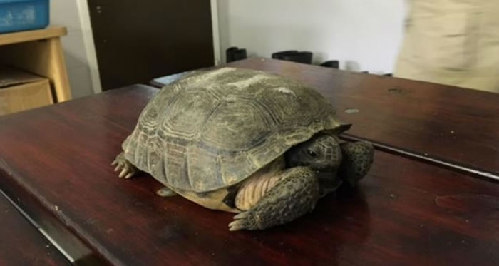 ������������ֱ�����ջ��ڹ걻�в�����