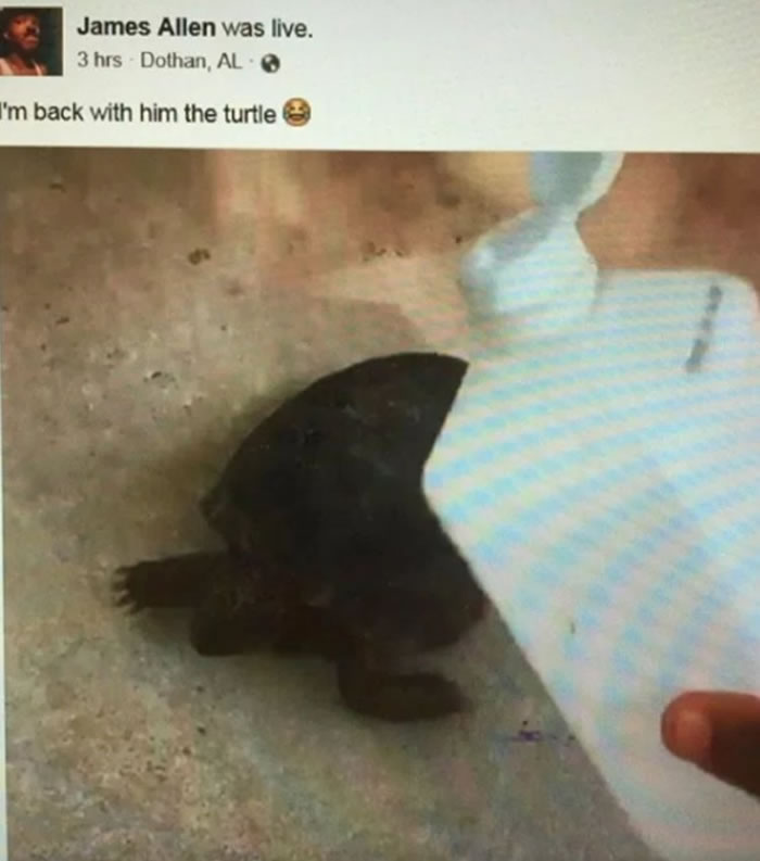 ������������ֱ�����ջ��ڹ걻�в�����