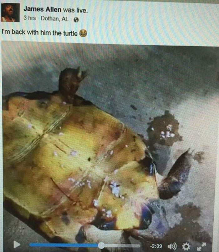 ������������ֱ�����ջ��ڹ걻�в�����