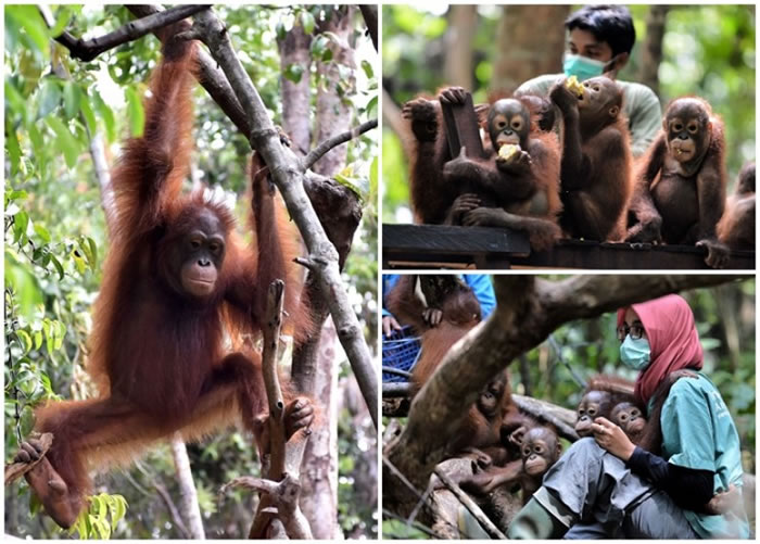 Ұ�������������ѱ������Σ���֣����ȿ̲��ݻ���