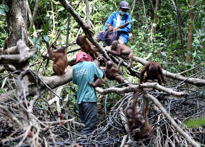 ��ȵ���С���������ɣ�������������ʡ��������������ѧϰ����ܡ�