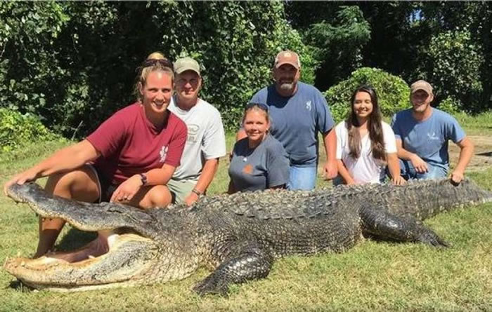 ������������������Ů���˲�����4�׾����Ƽ�¼