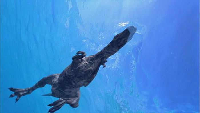 恐龙游泳的仰视图