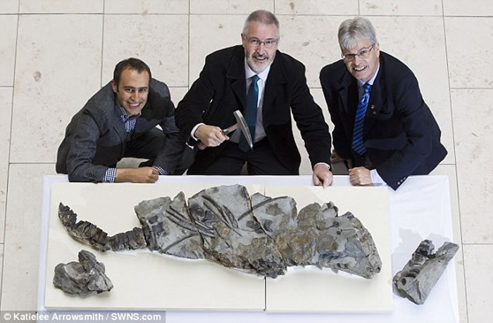 �ո���˹������̲����1.7����ǰԶ����ʳ�Զ�������������ʯ