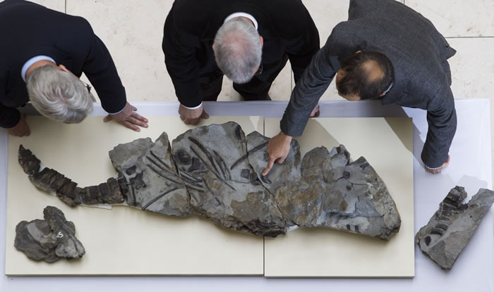 �ո���˹������̲����1.7����ǰԶ����ʳ�Զ�������������ʯ