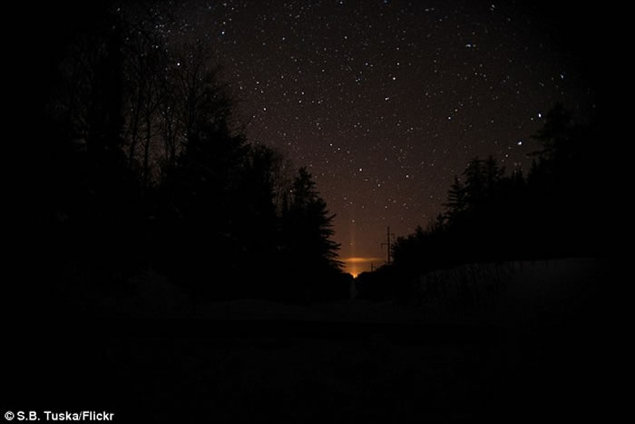 ������֮�⣺�����������ݲ���������ɭ�ֹ�԰�������ذ�ɫ����