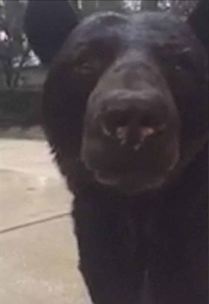 �������������Ů�Ӽ������ֻ� ̧ͷ���־޴���ܶ�����