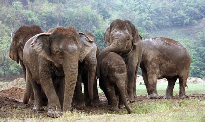 ɭ10ھ ÿ1.21.5ͷɱȡ