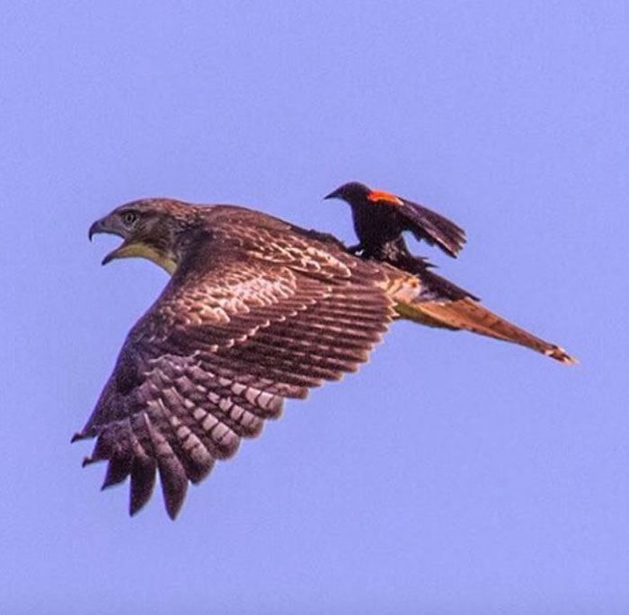 һֻ�����վ�ں�β�\�����������