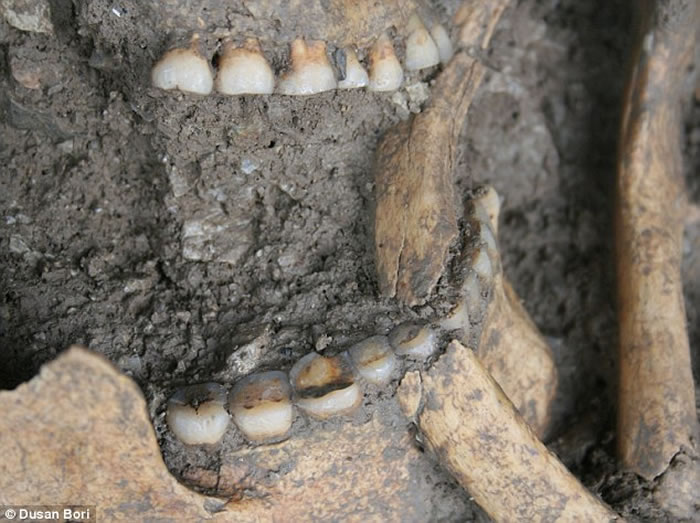 8600��ǰũ��Ʒ�ѳ����ڰͶ��ɵ���