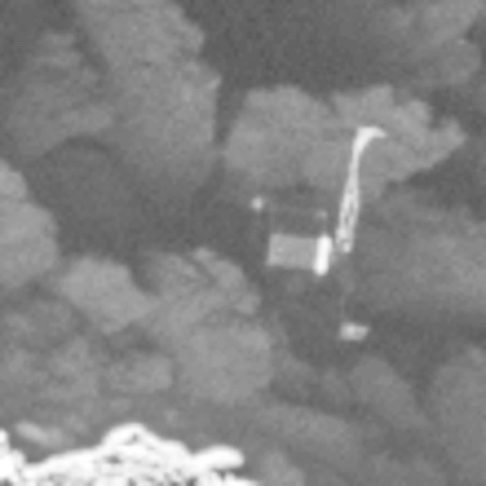 菲兰相当细小。