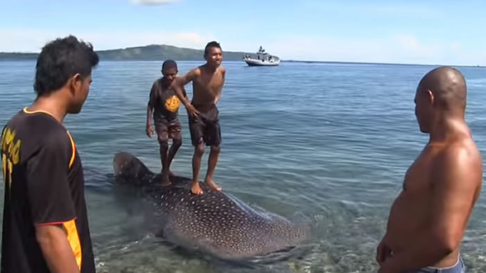 ӡ�����ץС����󺣱� ����˹�ÿ���75��Ԫ�Żش�