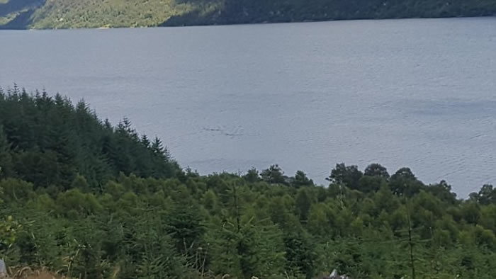 The picturesque Loch Ness (pictured) is a popular tourist destination because of