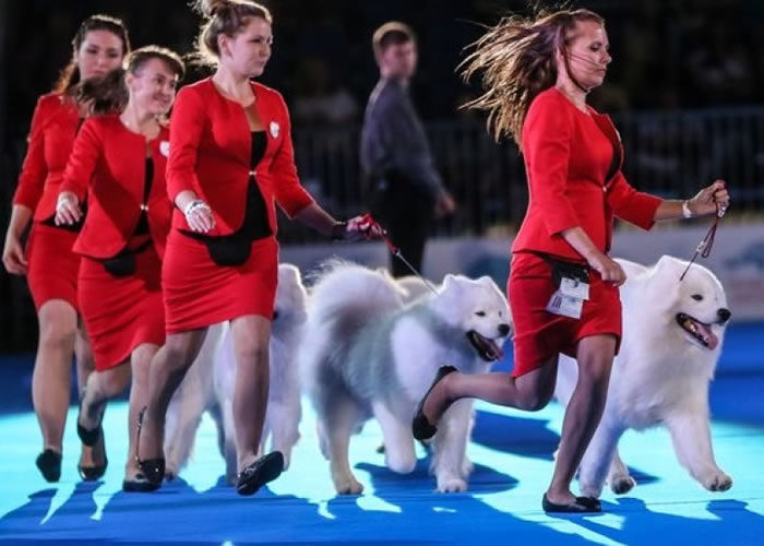 ���繷չ�����Ϻ����С�