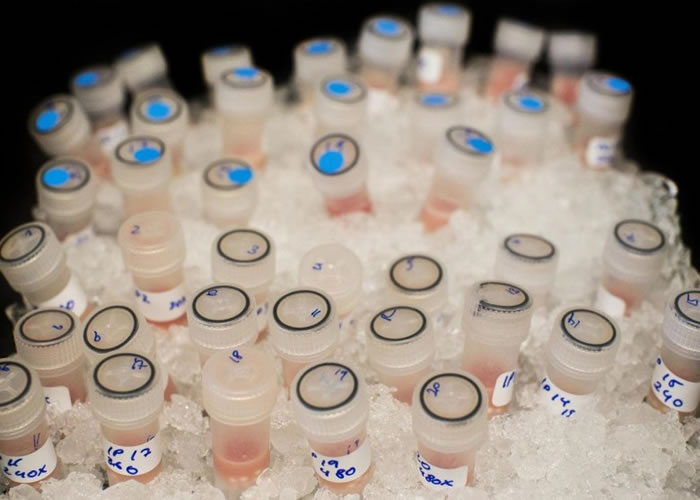 霍尔医学研究院研发出一款全新口服抗癌药。