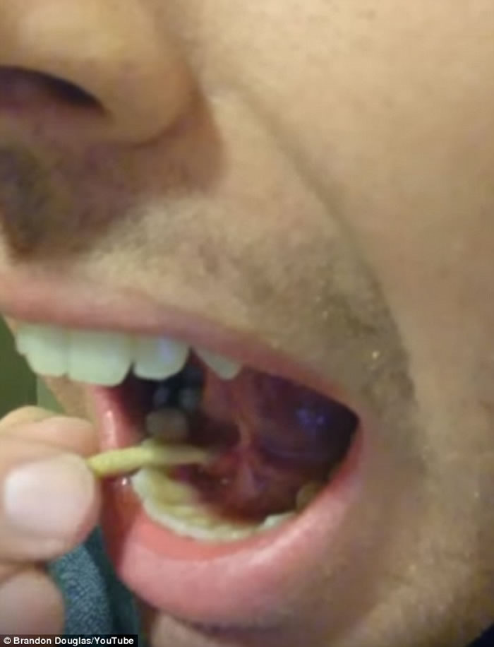 ���ģ�����������Һ��������ŧ��ҽ˵�ǽ�ʯ �Լ�����3���ֳ���ɫ�ֳ�