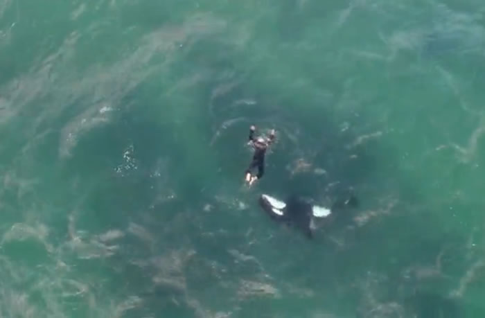 �������¿���������������ɱ�˾������ྡչ����һ��