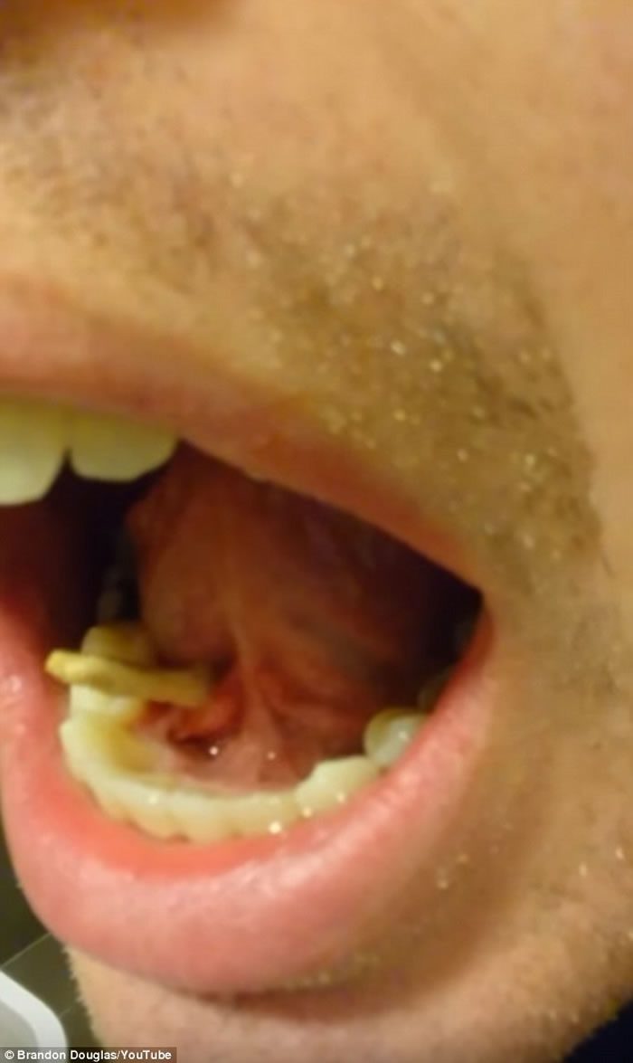 ���ģ�����������Ƭ�������м�����Һ�ٽ�ʯ ����һ���ֳ�