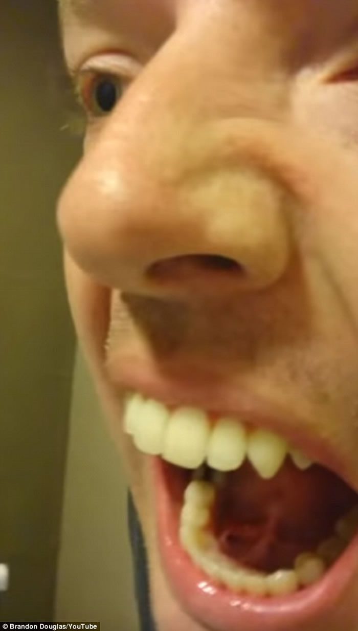 ���ģ�����������Ƭ�������м�����Һ�ٽ�ʯ ����һ���ֳ�