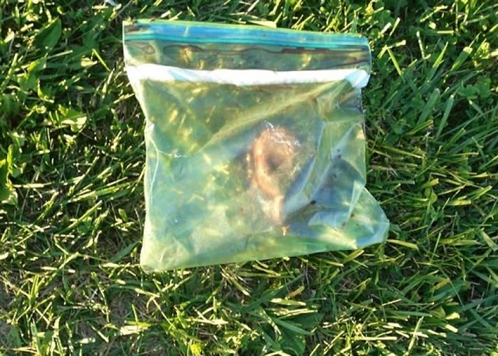 һ��װ��������������ı��ʴ������ݶѡ�