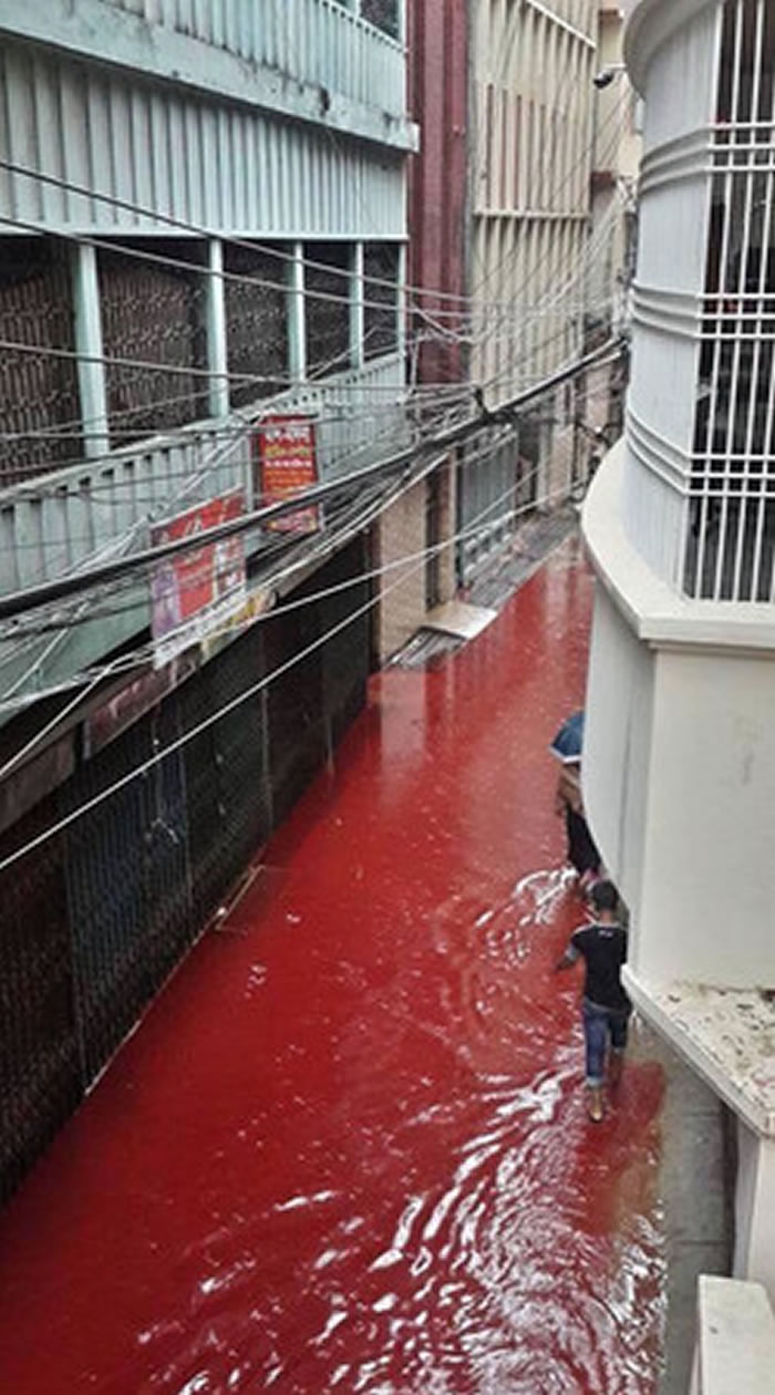 ��Ѫ���ɺӡ����ϼ����׶�������˹�ֹ��������ڡ�