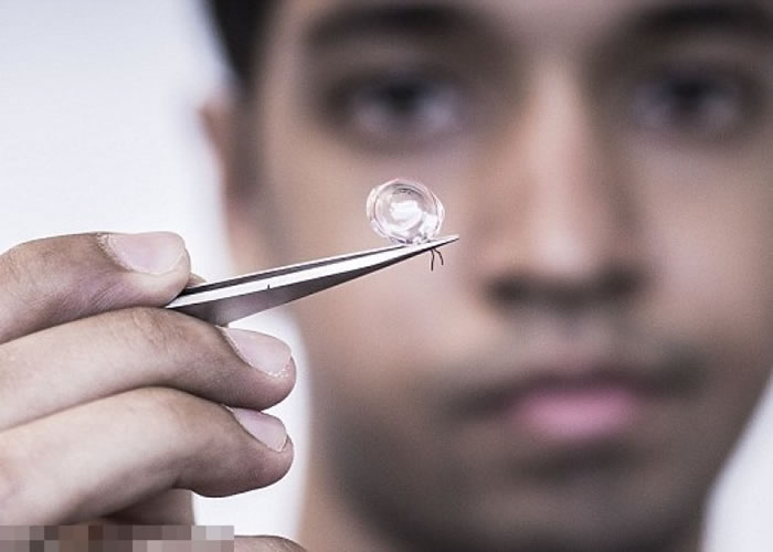 �о��Ŷ��з������������۾������ý���ʽɢ��ͨ�ż������Ѫ�������