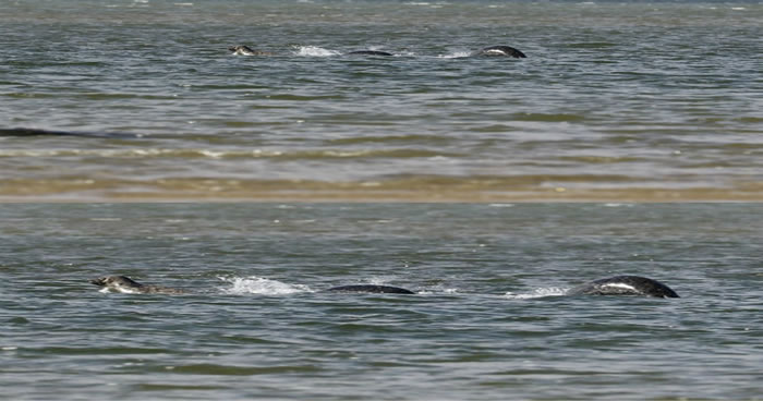 �ո����������㵽ʷ��������������˹��ˮ����Ƭ