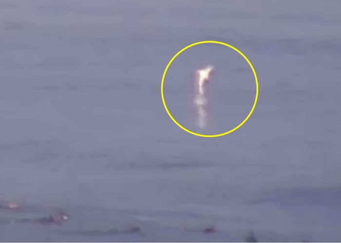 ����裨��Ȧʾ��Ծ��ˮ�档