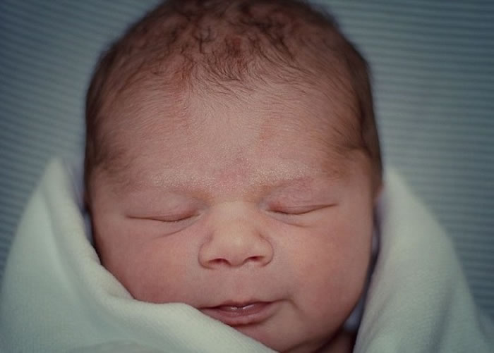 头部大小可能与一生成就有关。