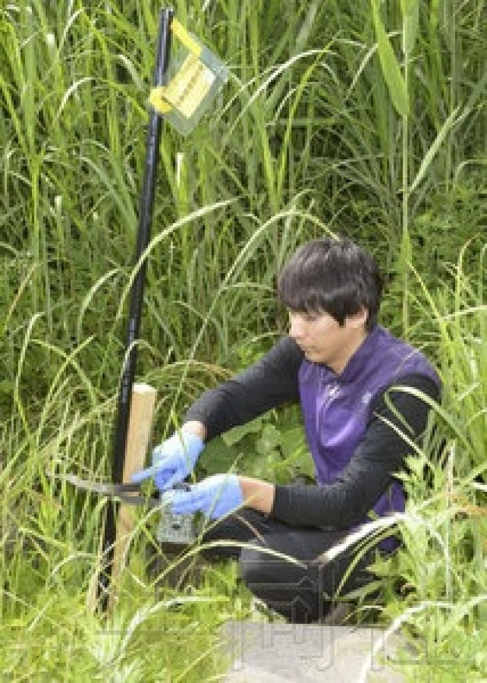 奥田圭检查拍摄野生动物的摄录机。