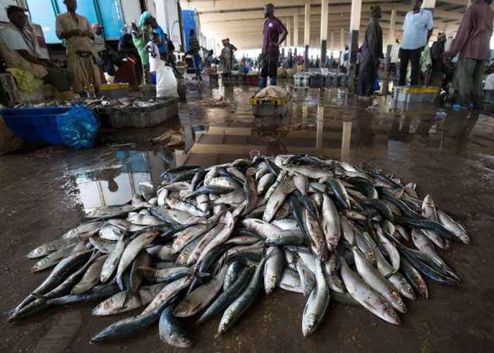 �д���������ҵ�����ڼӶ��������