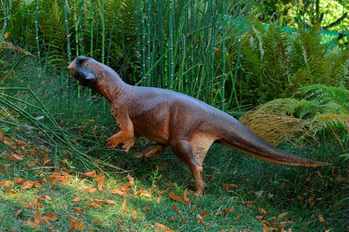 Ӣ����ѧ���ڻ�ʯ�з���һ�ֿɱ�ɫ�Ŀ��������й���������