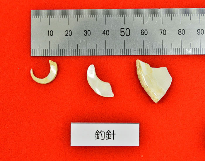 日本冲绳南部石灰岩洞Sakitari发现全球最古老鱼钩 距今2.3万年