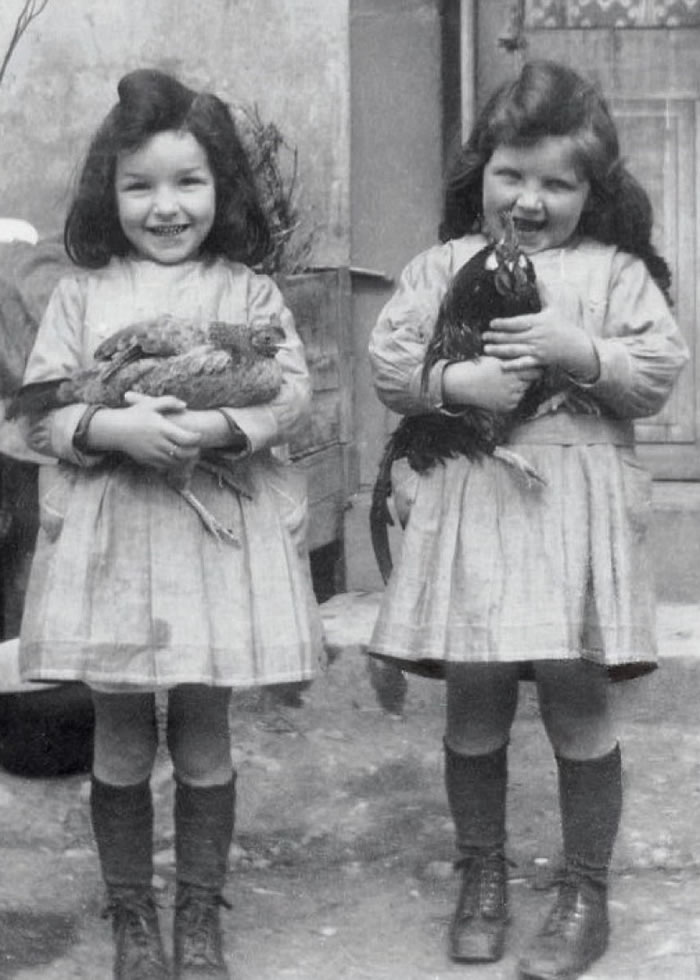 ͼΪ���������뵤��˹�ĺ��ա�