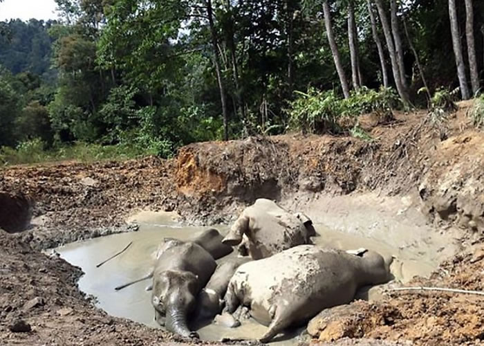 С����������Ţ�ж�ʱ��