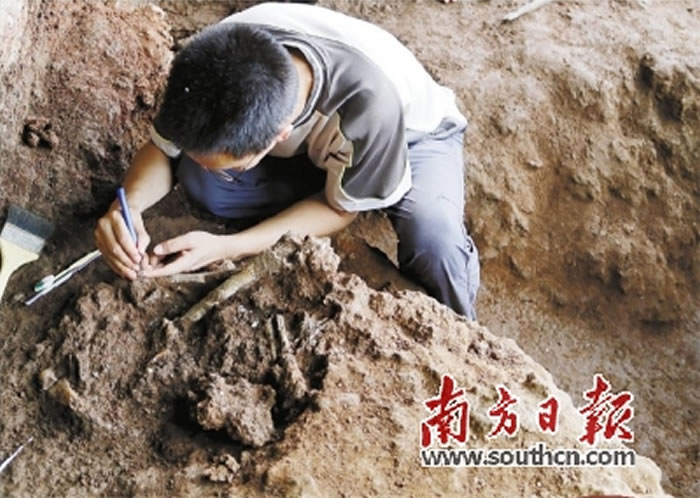 �������˹ǻ�ʯ�����ֳ��� ʡ��������ͼ