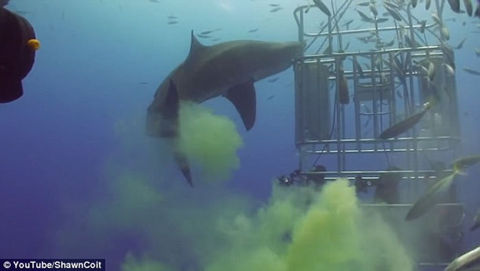 ����賯��������ȥ Ȼ�����㹥��