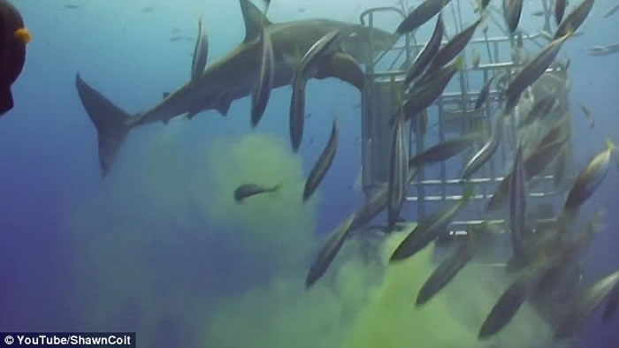 ����賯��������ȥ Ȼ�����㹥��