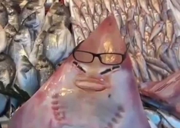 长尾鲨有着人类一般的笑脸。